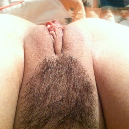 fuckyeahpubes.tumblr.com/post/147036773604/