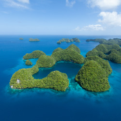 dontrblgme: Rock island lagoon . Palau 