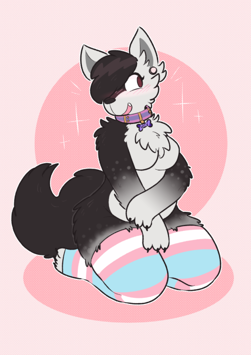 cat-boots:blushy blushy wolf~ [commission for waflafel]