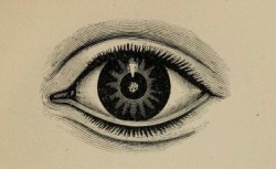 nemfrog:  nemfrog:  Optical truths. 1898.   Trending this week