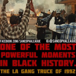 sancophaleague:  In 1992, after the Rodney King beating, OGs