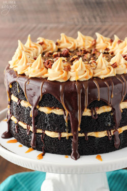 nom-food:  Turtle chocolate layer cake
