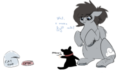 ask-cristice:  cat wants to fight me , i’ll show him  xD Cristice
