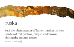 word-stuck:  autumn colours on Wordstuck