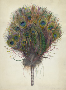 tierradentro:  “Peacock Feather Fan”, c. 1938, Edna C. Rex.