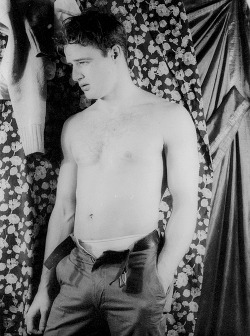 spankbankboys:  Marlon Brando photographed by Carl Van Vechten,