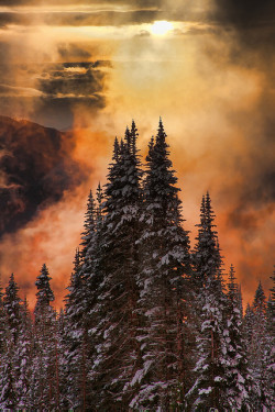 brutalgeneration:  Mount Rainier, Sun Behind Fog, On the way
