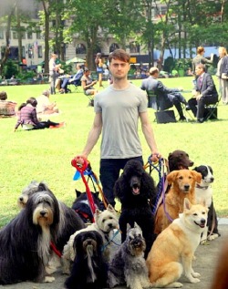 Dog steals Dan Rads body maybe???All the same it’s an adorable picture!