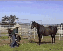 gif-guy:  http://gifini.com/