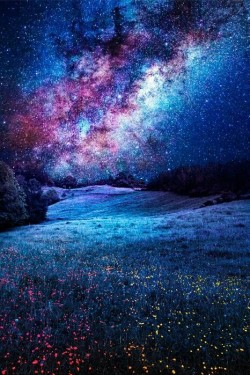 thedemon-hauntedworld:  Milky Way Credit: Sebdows Photography