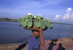 20aliens:  CAMBODIA. Phnom Penh. 1996. Cactus nuts. Vendor on