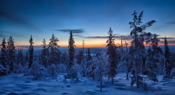 sapphire1707:  The blue hour in Lapland | by johnsson | http://ift.tt/1z5IsRu