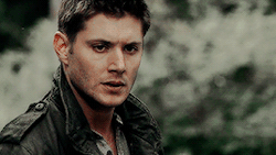 wolfstarry:   spn meme ★ eight episodes↳ the end // “oh