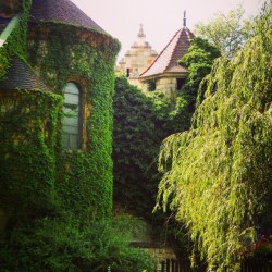 voiceofnature:  Vajdahunyad Castle in Budapest. My instagram: