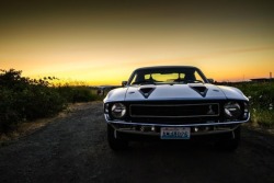 musclecarsfans:  Follow For Muscle Cars Everyday