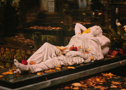 theplanetinmoonlight: [ID: Seven photos of a cemetary in autumn,