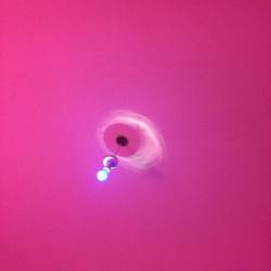 ontheotherside-a:  #nofilter #light #bulb #pink #blue 