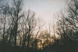 halfcrystalline:evening