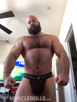 musclebulls9:  Love these jockstraps with a big pouch to fill
