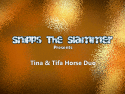 snippstheslammer: Tina & Tifa Horse Duo (Mini-Project) -