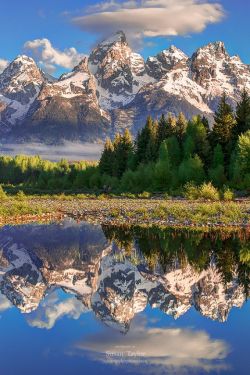 lifeisverybeautiful:    Teton Morning Reflection by Susan Taylor