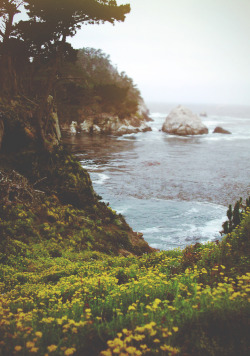 theoceanrolls:  The West (by Dangerous…Dan) 