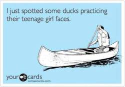 lmao…  That wouldn’t work.  Ducks already look