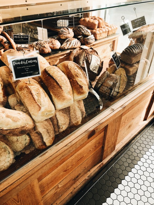 helloancolie: I love bread. 💛🥖