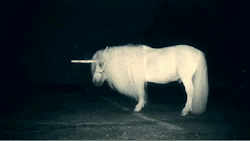 patronuscloak:  ▲