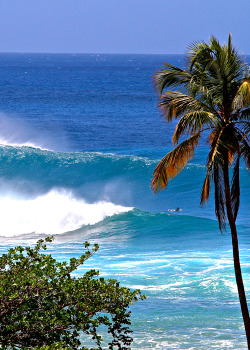  Tres Palmas, Puerto Rico Ph: Rachel Tanner 