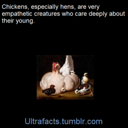 ultrafacts:  Source [x] Click HERE for more facts 