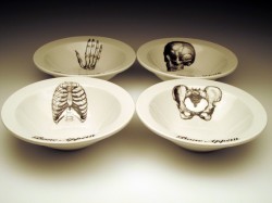 little-bunnys-creepies:   Anatomy based dishes. I want all of