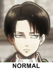 psychedelicdreamss:  Top Rivaille expressions. 