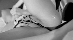 Self Shot Art