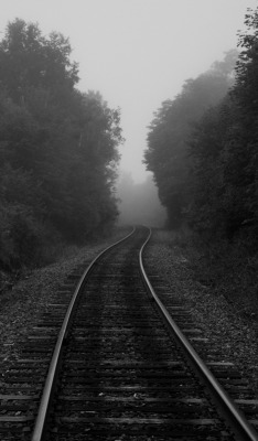 brianwalsh12:   	Tracks in the Fog by Brian Walsh     