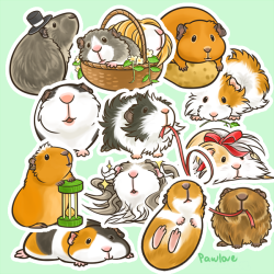 pawlovearts:  I made guinea pigs stickers too. Next up are hedgehogs. These