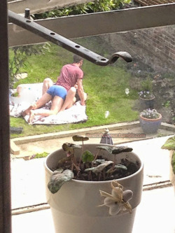 bestofvoyeur:  Caught his sister getting fuck in the garden