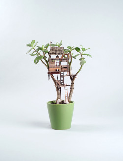 88floors:  Miniature Treehouse Sculptures Built Around Houseplants