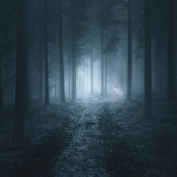 earthlygallery:  The Search by Mikko Lagerstedt