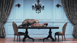 gothiccharmschool:  Big cats and elaborate decor. I love this.