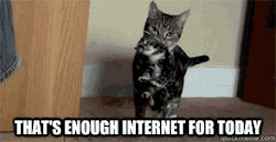 mirockandpop:  Suficiente internet por hoy! 