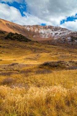 scottsmithphotography:  (via Snow and Grasses at Mount Baldy