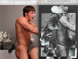 trjoel:  riccardo tisci used a photo of brandon from sean cody