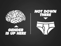 only-khris:  Gender awareness week. 