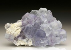 bijoux-et-mineraux:Fluorite with Barite -  Jaimina Mine, Caravia,
