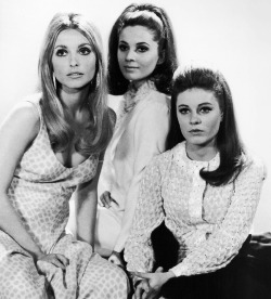 simply-sharon-tate:  Sharon Tate, Barbara Parkins, and Patty