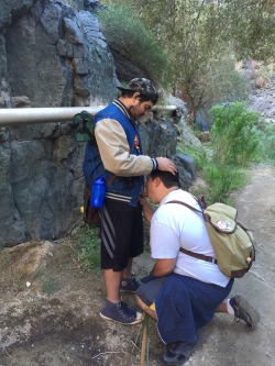 gorditopapi:  chibicub:  I stopped for a sweet treat on my hike