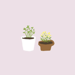 aoi-sketch:  plants, book and tea 