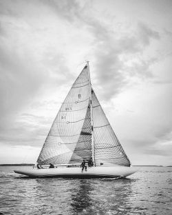 sailingimages:  Beautiful 8mR Katrina practicing in the #doylesails