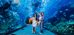 discoveryourdubai:  How To Keep The Entire Family Entertained
